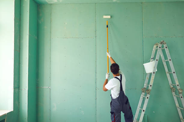 Professional Drywall & Painting Services in Citrus Hills, FL